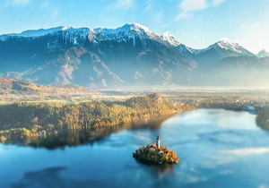 猴戏：烟火人间的卑微与温柔 —— 一首关于世俗与怜悯的诗