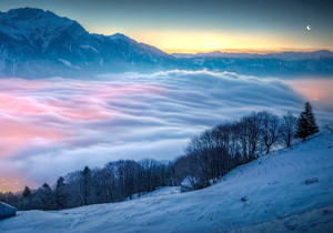 鹳雀楼畔黄河韵