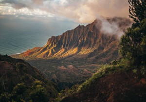 《诡笑》——幼儿园门口那抹冷漠笑容背后的文明之痛 | 真实事件改编诗作